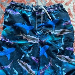 Carter’s swim trunks